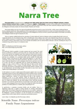 Philippine Trees: Types and Uses | PDF | Plants | Trees