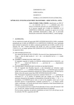 EXPEDIENTE: 8293
ESPECIALISTA: 
ESCRITO N°:
SUMILLA: SE CONSTITUYE EN ACTOR CIVIL.
SEÑOR JUEZ. INVESTIGACION PREP. TRANSITORI
