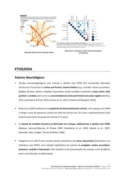 Perturbação de Hiperatividade / Défice de Atenção (PHDA) – Página 10  
Formador: Octávio Moura | hiperatividade.com.pt | disl