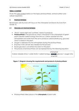 Grade 11 Life Sciences Term 2 Revision | PDF | Fermentation | Cellular ...