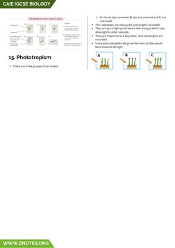 IGCSE Biology Alternative Practical Guide | PDF | Photosynthesis ...