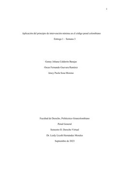 1
Aplicación del principio de intervención mínima en el código penal colombiano
Entrega 1 – Semana 3
Genny Johana Calderón Ba