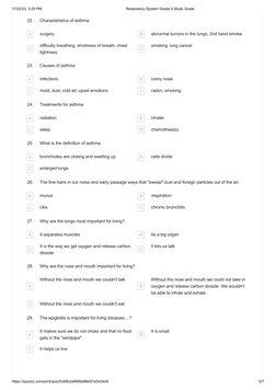 Grade 5 Respiratory System Study Guide | PDF | Lung | Respiratory System