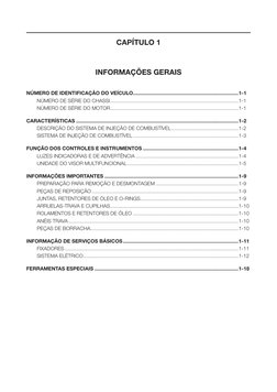 CAPÍTULO 1
INFORMAÇÕES GERAIS
NÚMERO DE IDENTIFICAÇÃO DO VEÍCULO.............................................................