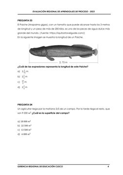 EVALUACIÓN REGIONAL DE APRENDIZAJES DE PROCESO - 2023 
GERENCIA REGIONAL DE EDUCACIÓN CUSCO  
4 
 
 
PREGUNTA 03 
El Paiche
