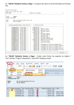 15. “FBL1N” Relatório Contas a Pagar – O arquivo foi salvo no local informado no formato 
TXT: 
 
 
 
16. “FBL1N” Relatório C