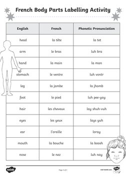 French Body Parts Labeling Worksheet | PDF