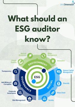 What should an
ESG auditor
know?
