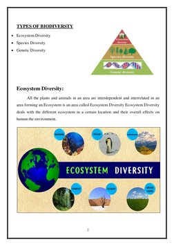 Class 12 Biodiversity Project Report | PDF | Biodiversity ...