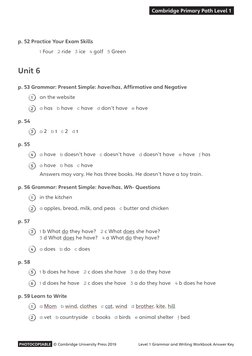 Level 1 Grammar Workbook Answer Key | PDF | Bees