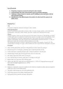 Class 10 Biology Practical Experiments | PDF | Stoma | Leaf