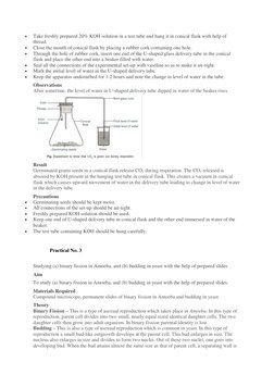 Class 10 Biology Practical Experiments | PDF | Stoma | Leaf