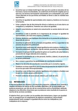 EMPRESA MUNICIPAL DE SERVICIOS VIVIENDA 
INFRAESTRUCTURA Y PREOMOCIÓN DE VÉLEZ-MÁLAGA 
• Garantizar que un trabajo tend