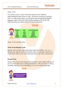 Verbs and Their Forms for Class 6 | PDF | Verb | English Grammar