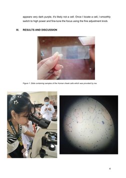 Observing Human Cheek Cells Under Microscope | PDF | Staining | Microscope