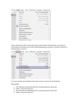 Selección Eficiente en Notepad++ | PDF