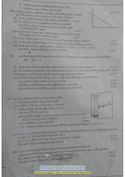 Grade 10 Science 3rd Term Test Paper Central Province | PDF