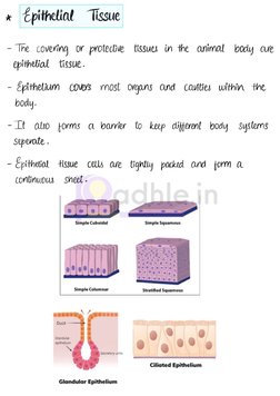Class 9 Handwritten Tissue Notes | PDF