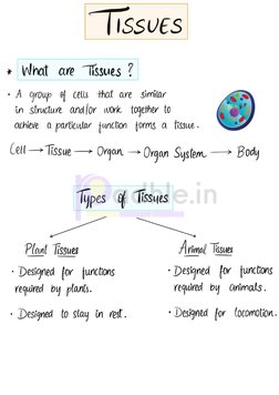Class 9 Handwritten Tissue Notes | PDF