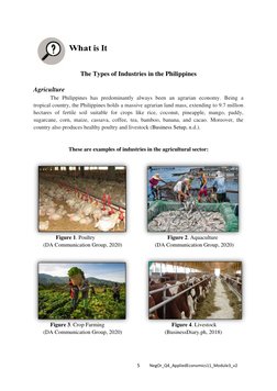 5 
 
NegOr_Q4_AppliedEconomics11_Module3_v2 
 
 
 
 
The Types of Industries in the Philippines 
 
Agriculture 
 
The Philipp