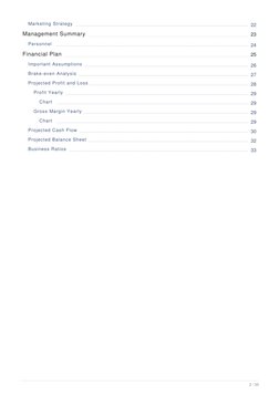 Marketing Strategy
22
Management Summary
23
Personnel
24
Financial Plan
25
Important Assumptions
26
Brake-even Analysis
27
Pr