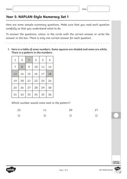 Year 5 NAPLAN Numeracy Practice Test | PDF | Ounce | Metrology