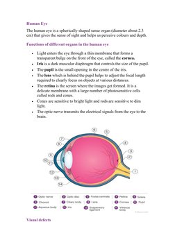 Human Eye
The human eye is a spherically shaped sense organ (diameter about 2.3
cm) that gives the sense of sight and helps u