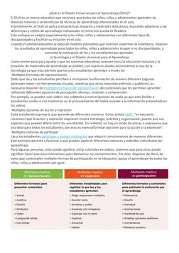 Principios del DUA en Educación Inclusiva | PDF | Aprendizaje | Plan de ...