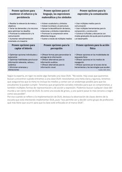 Principios del DUA en Educación Inclusiva | PDF | Aprendizaje | Plan de ...