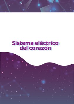 Sistema eléctrico 
del corazón
