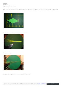 (http://3.bp.blogspot.com/_czeNwkRCgzw/S_8xGOOh-QI/AAAAAAAAAt4/6ZQsMNQgluA/s1600/P5270105.JPG) (http://4.bp.blogspot.com/_cz