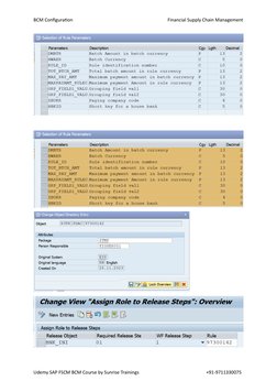 SAP BCM Configuration Guide | PDF | Currency | Banks