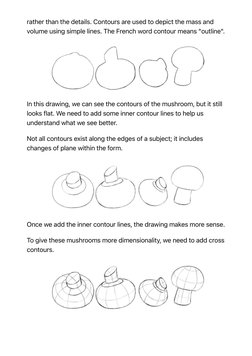Mastering Cross-Contour Drawing Techniques | PDF | Drawing | Contour Line