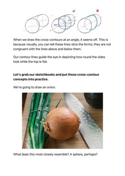 Mastering Cross-Contour Drawing Techniques | PDF | Drawing | Contour Line