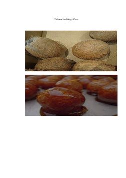 Evidencias fotográficas 
 
 
 
 
 
