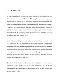 1.
INTRODUCCIÓN
El origen de las gallinas se sitúa en el sureste asiático, los científicos estiman que
fueron domesticadas ha