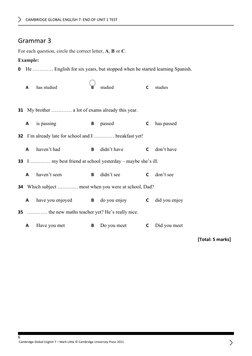Cambridge Global English 7 Unit Test | PDF | English Language