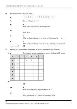 Year 8 Maths End-of-Year Test | PDF | Area | Mathematics