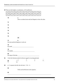 Year 8 Maths End-of-Year Test | PDF | Area | Mathematics