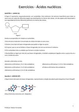 Exercícios - Ácidos nucléicos  
 
 
 
 
1 
Professor: Nelson Fernandes 
 
QUESTÃO 1 - (UDESC SC)    
A Figura 3 representa, e