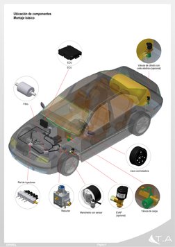 Reductor
Válvula de cilindro con
corte eléctrico (opcional)
EVAP
(opcional)
Ubicación de componentes
Montaje básico
ECU
Riel