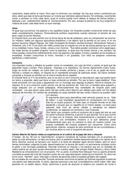 cosecharlo, basta estirar la mano. Pero aquí no terminan sus ventajas. No hay que volver a sembrarlo por 
años, dado que bajo