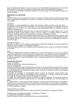 Para el combate de nematodos e insectos del suelo no es recomendable aplicar plaguicidas en el momento 
de la siembra, si ant