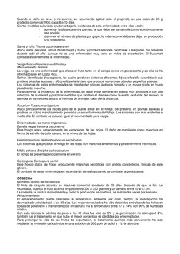 Cuando el daño es leve, o no avanza, se recomienda aplicar sólo el propineb, en una dosis de 95 g 
producto comercial/200 l,
