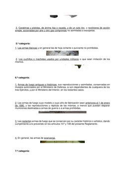 2. Carabinas y pistolas, de ánima lisa o rayada, y de un solo tiro, y revólveres de acción 
simple, a