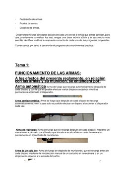 ·      Reparación de armas. 
·      Prueba de armas. 
·      Depósito de armas. 
 
 Desarrollaremos los con