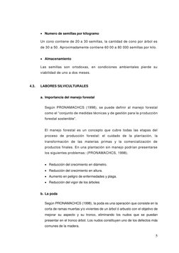 5 
 
 
 Numero de semillas por kilogramo  
Un cono contiene de 20 a 30 semillas, la cantidad de cono por árbol es 
de 30 a 5