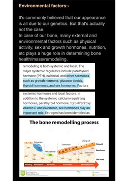 Full Face Bonesmashing Guide | PDF