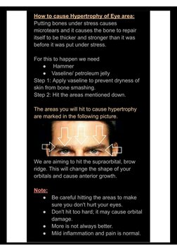 Full Face Bonesmashing Guide | PDF