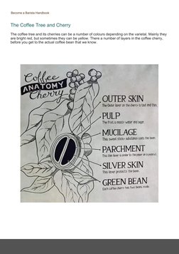 Barista Training Handbook | PDF | Coffee | Drink